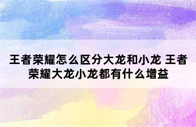 王者荣耀怎么区分大龙和小龙 王者荣耀大龙小龙都有什么增益